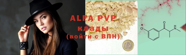 прущие грибы Сафоново