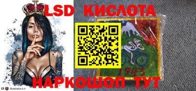 крисы Кунгур